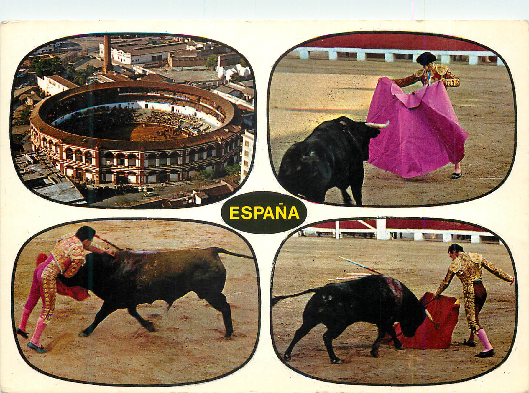 CPM Toros Typique course de Taureaux Taureau Corrida