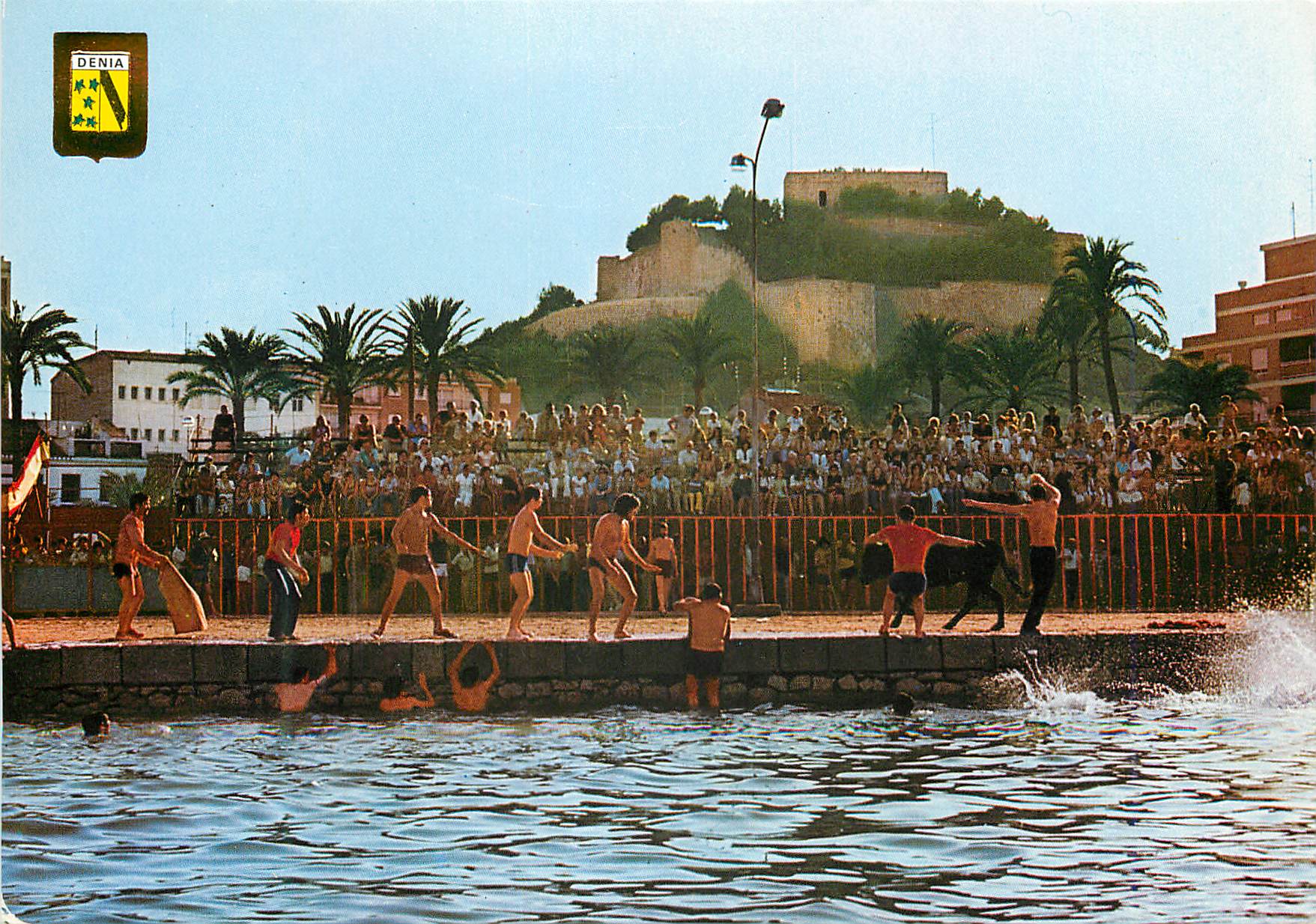 CPM Denia (Alicante) Taureaux dans la mer