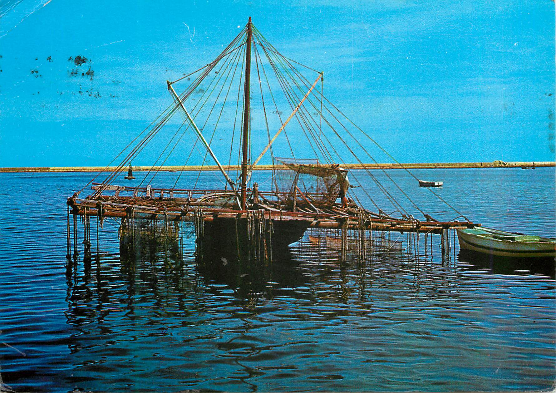 CPM Denia (Alicante) Mussel Beds of Port