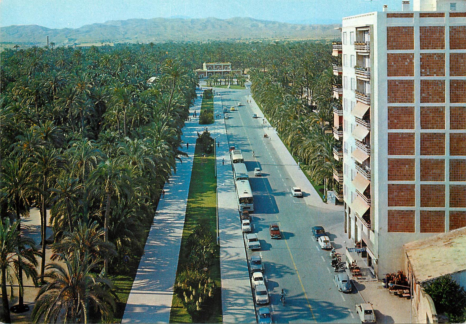 CPM Elche (Alicante) Allee du Parc