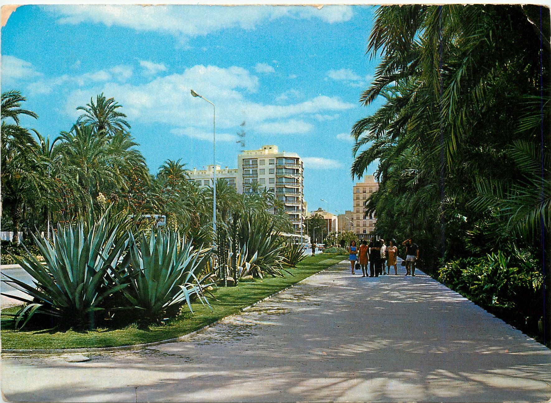 CPM Elche (Alicante) Vue Parc Municipal