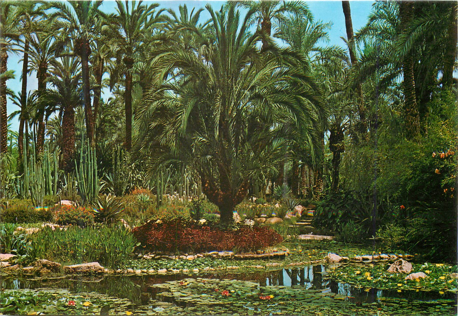 CPM Elche (Alicante) Verger du Cure Bassin de la Rocalla
