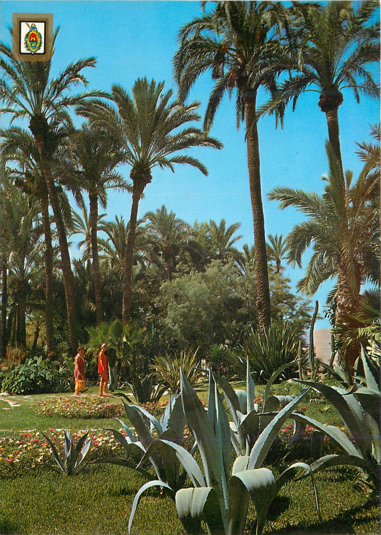 CPM Elche (Alicante) Parc Municipal