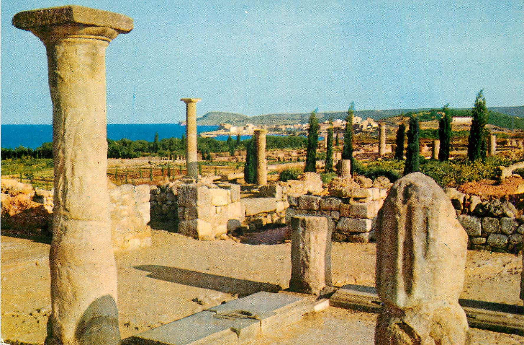CPM Costa Brava La Escala Ruines de Ampuries Villa Romaine