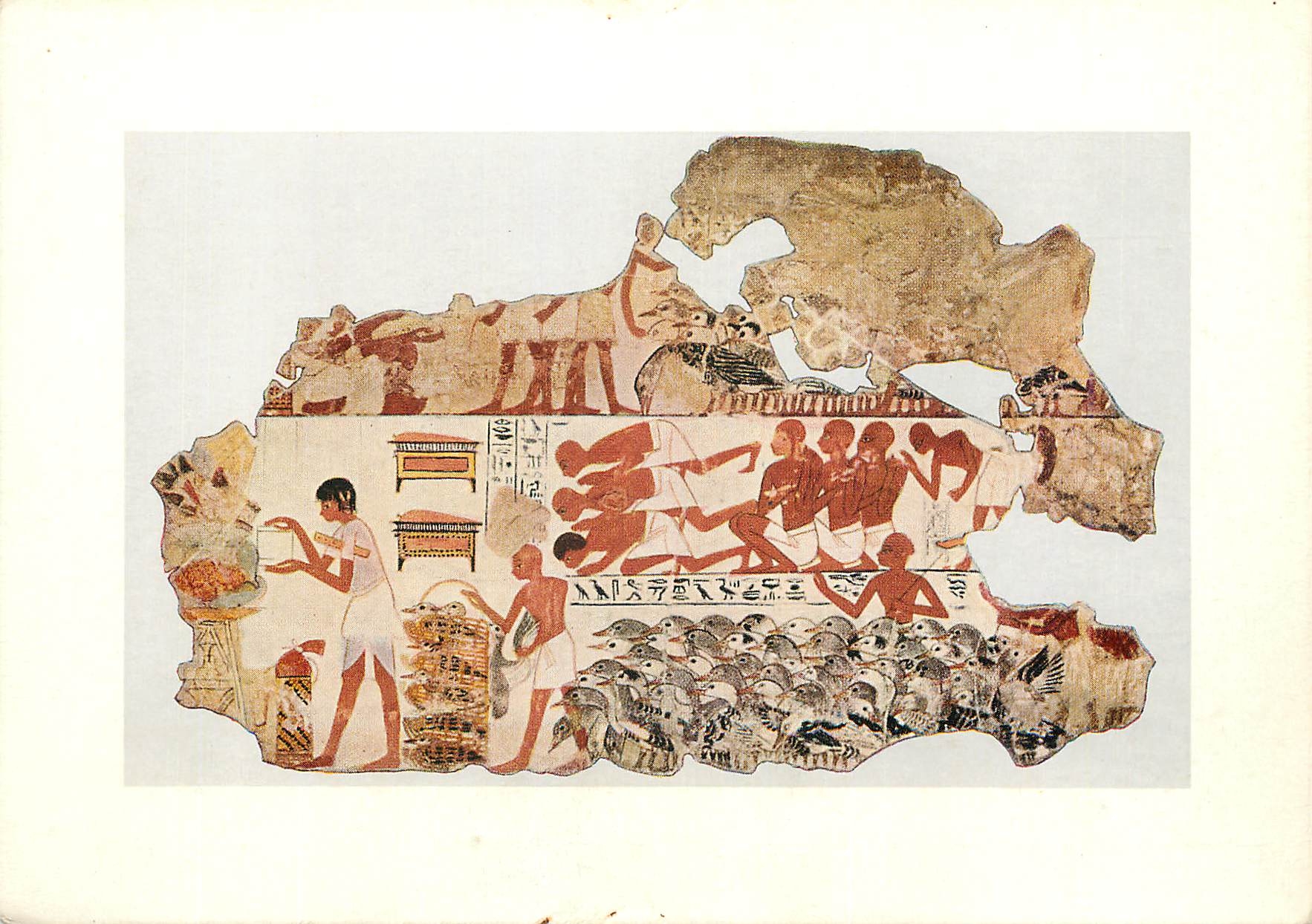 CPM British Museum Inspection of the geese brought to Nebamen Egypte