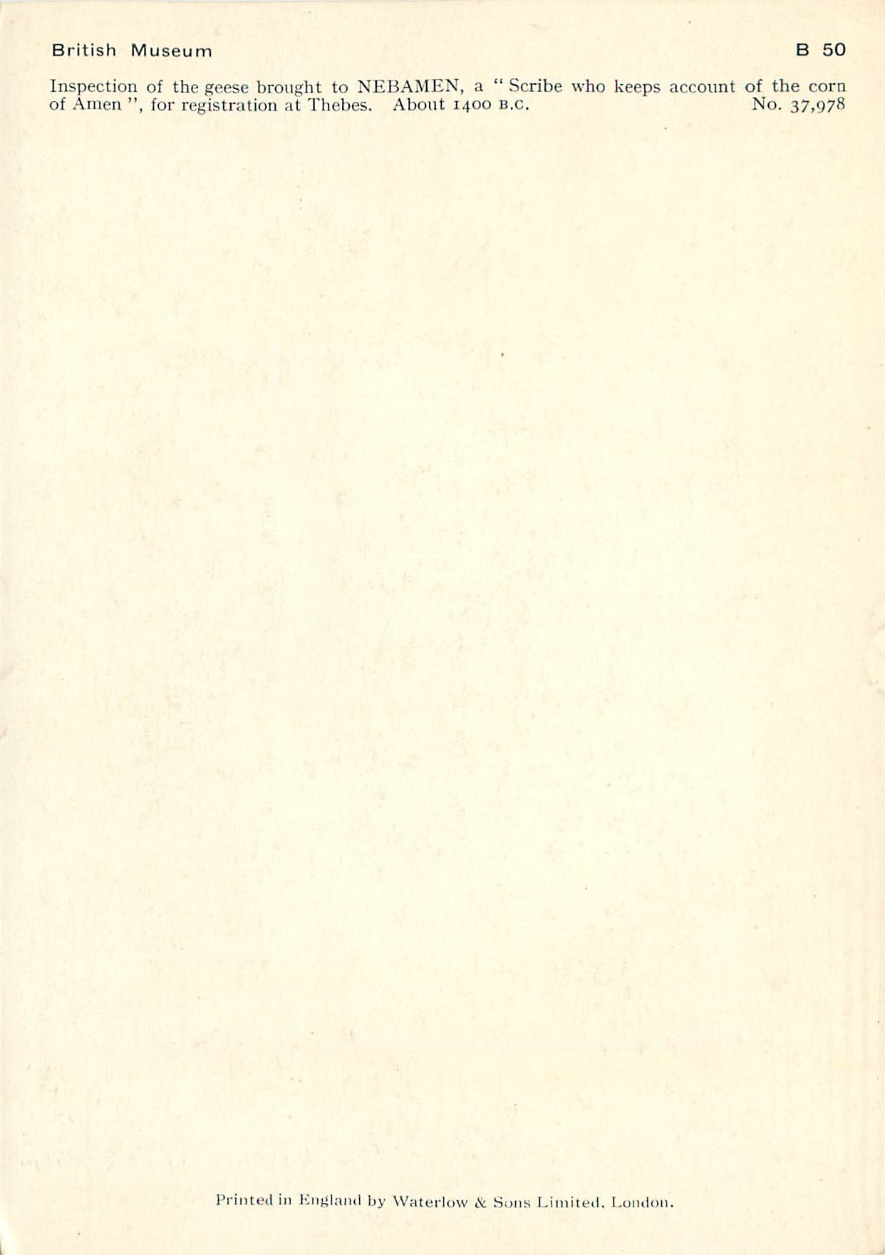 CPM British Museum Inspection of the geese brought to Nebamen Egypte — Verso