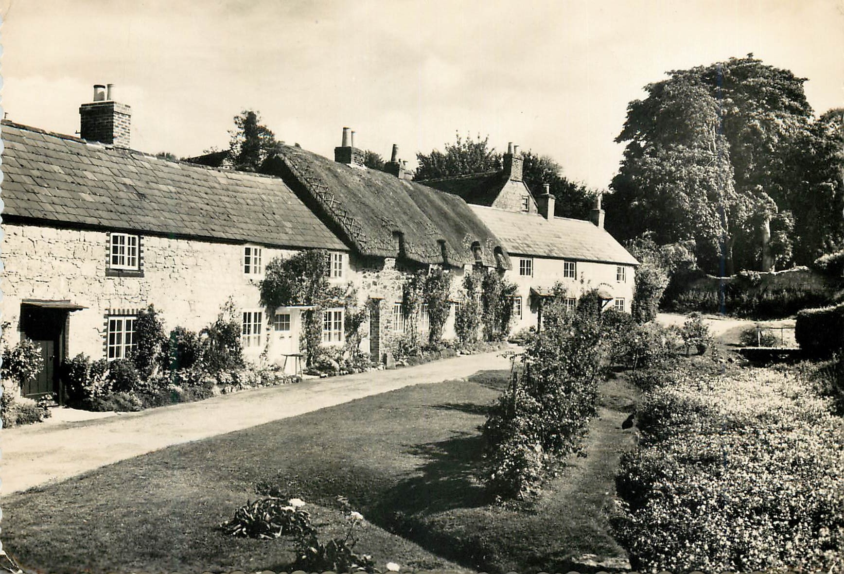 CPM Winkle Street Calbourne Isle of Wight