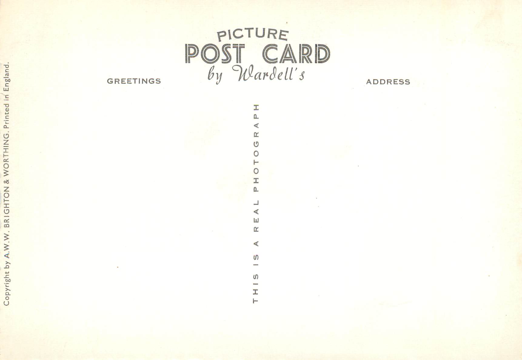 CPM The Sunken Gardens Ant The Lawns Brighton & Hove — Rückseite