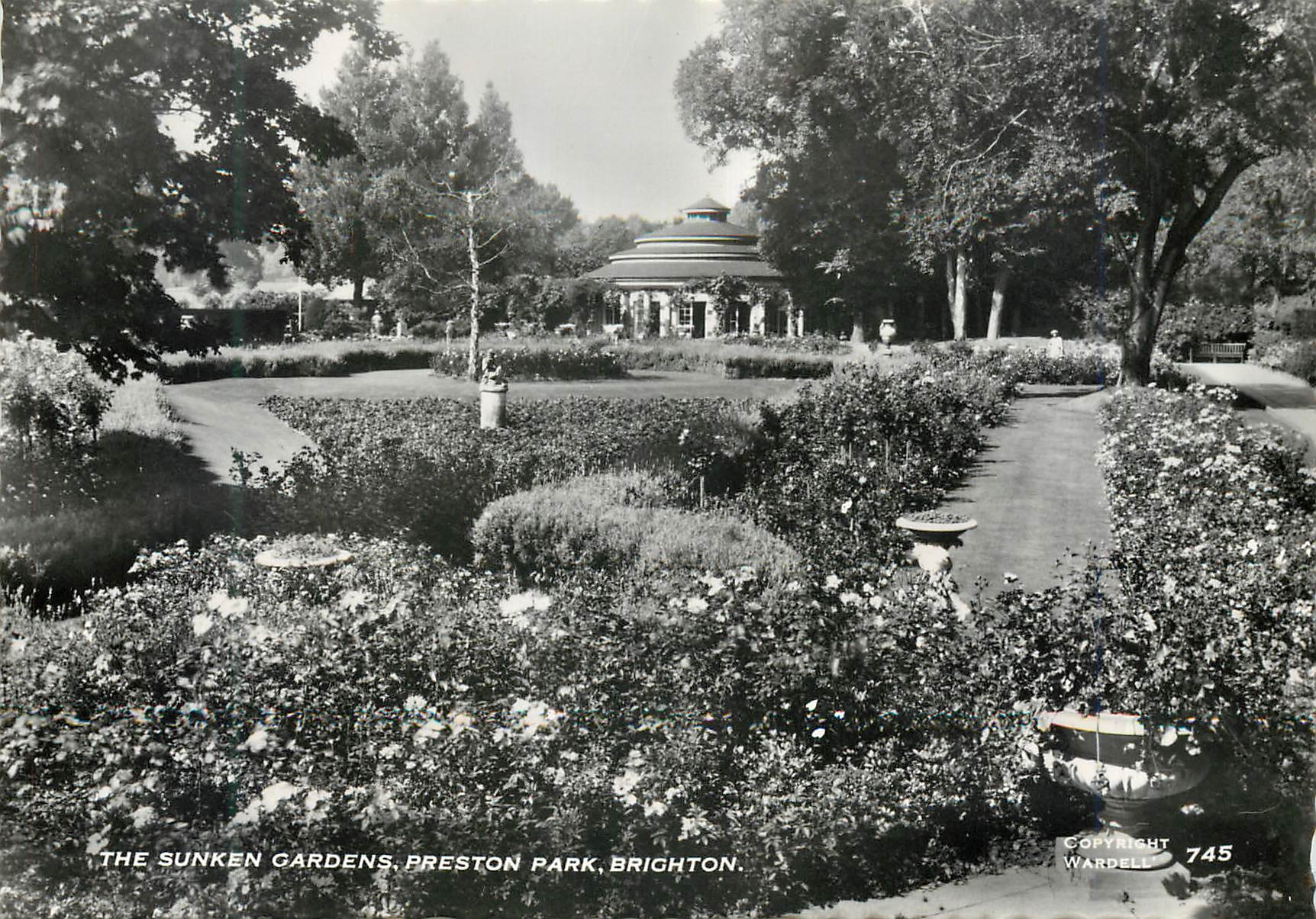 CPM The Sunken Gardens Preston Park Brighton