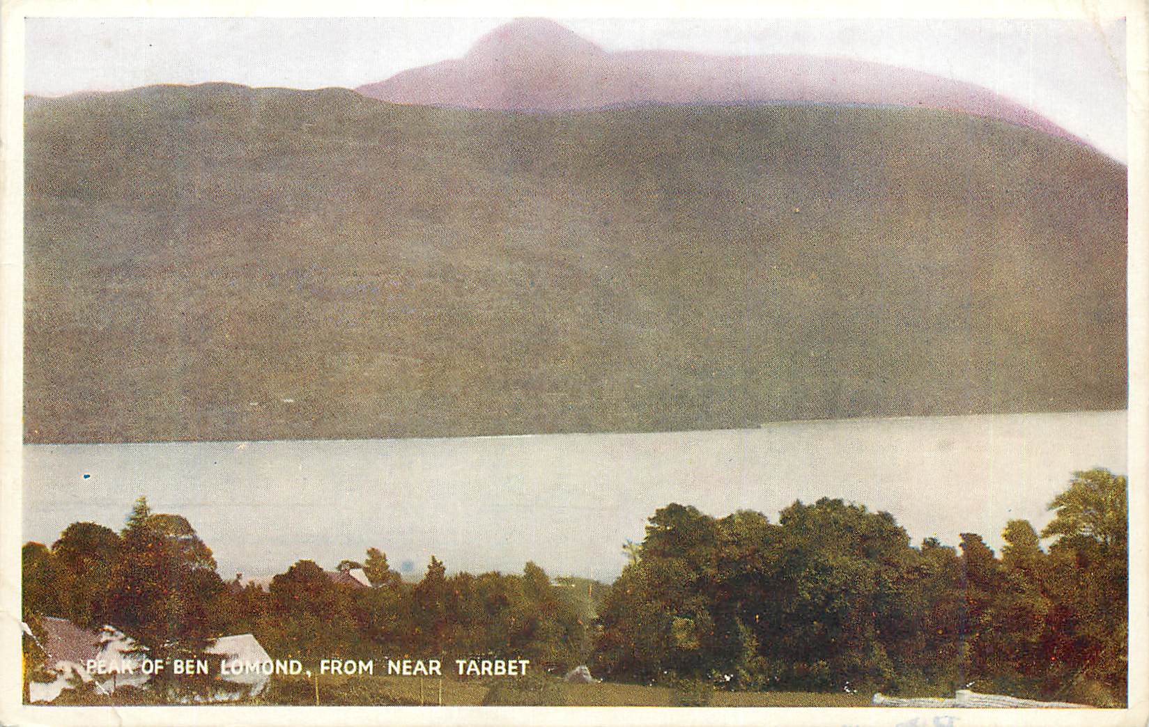 CPM Bear of ben Lomond From Near Tarbet