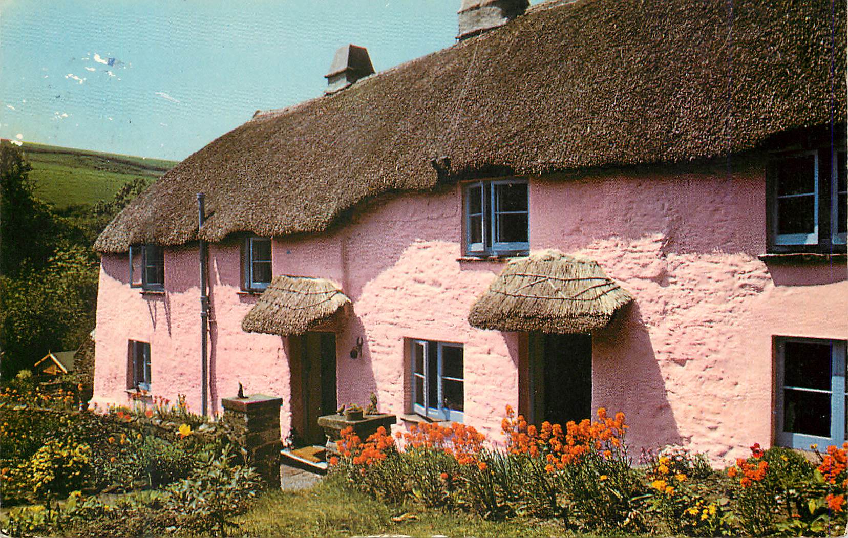 CPM Devon Thatch
