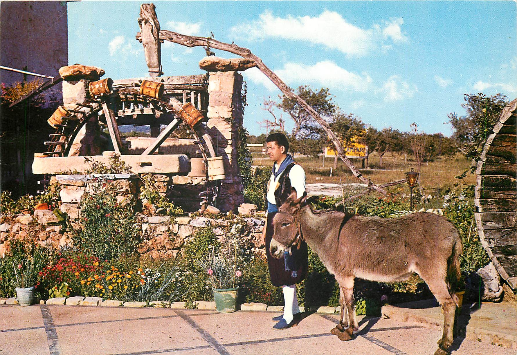 CPM Mallorca Noria tipica Noria typiques Ane Donkey