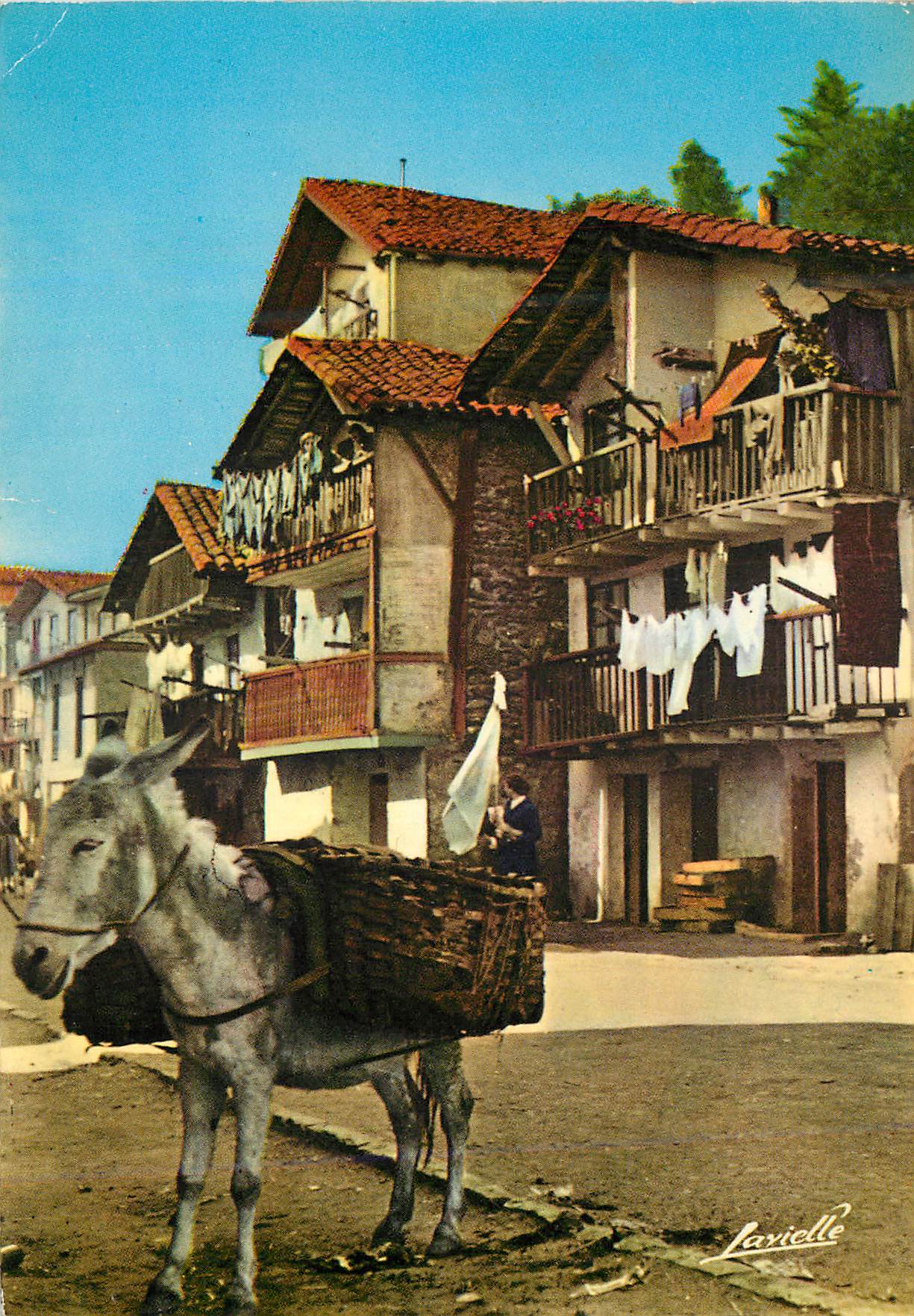 CPM Pays basque Espagnol Quartier typique de Fontarabie Ane Donkey