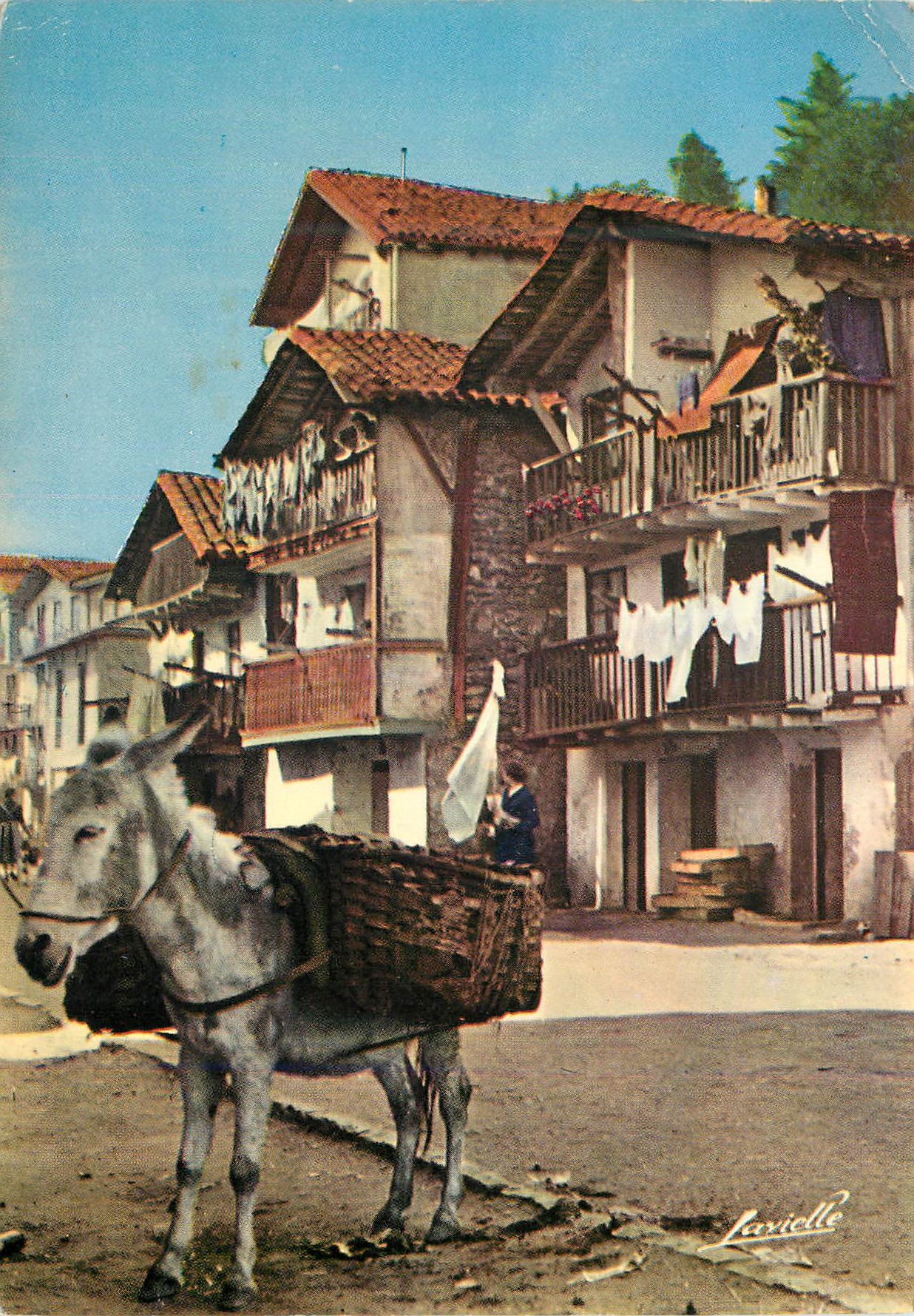 CPM Pays basque Espagnol Quartier typique de Fontarabie Ane Donkey