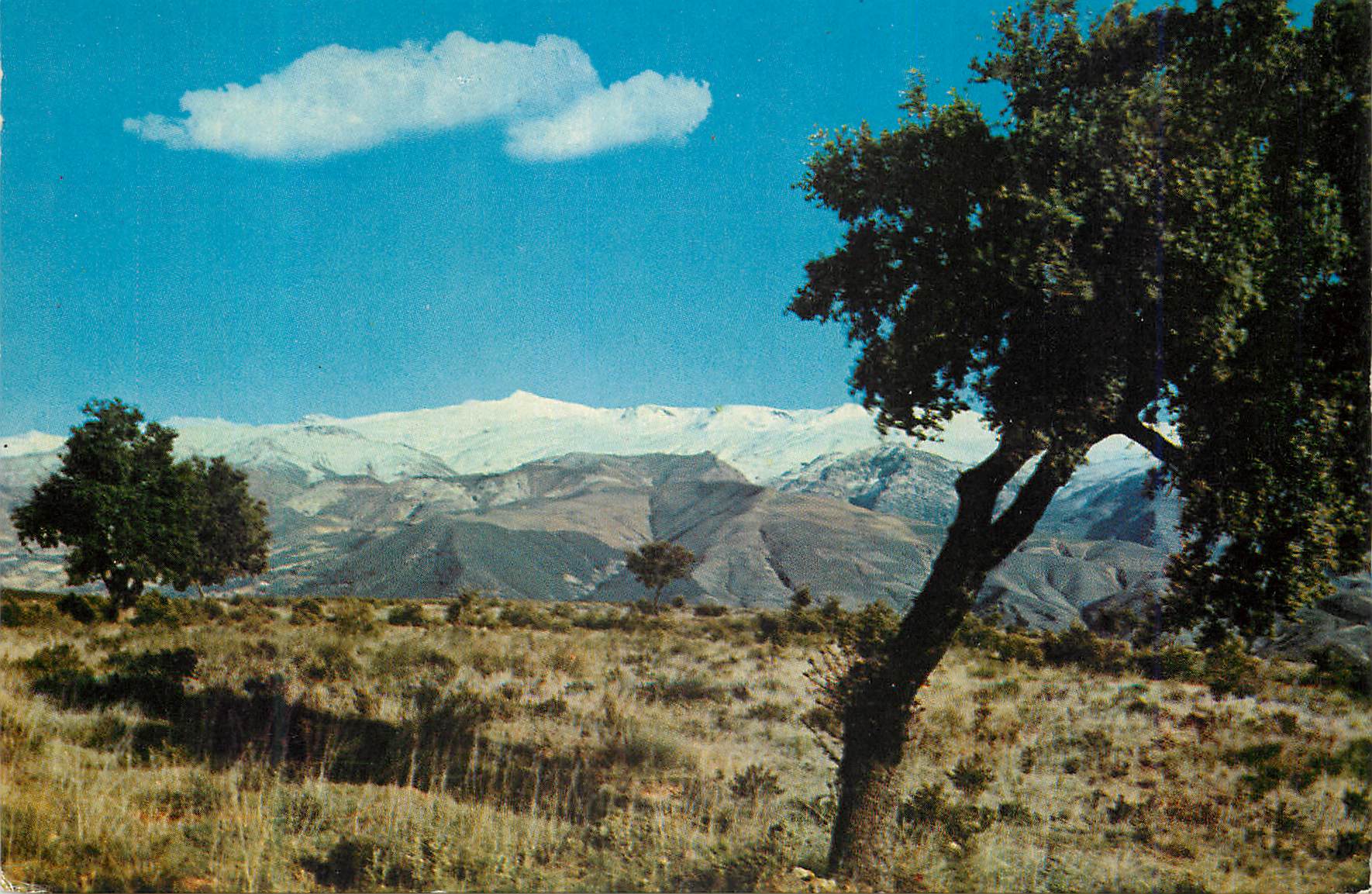 CPM Granada Sierra Nevada des las Perdices 