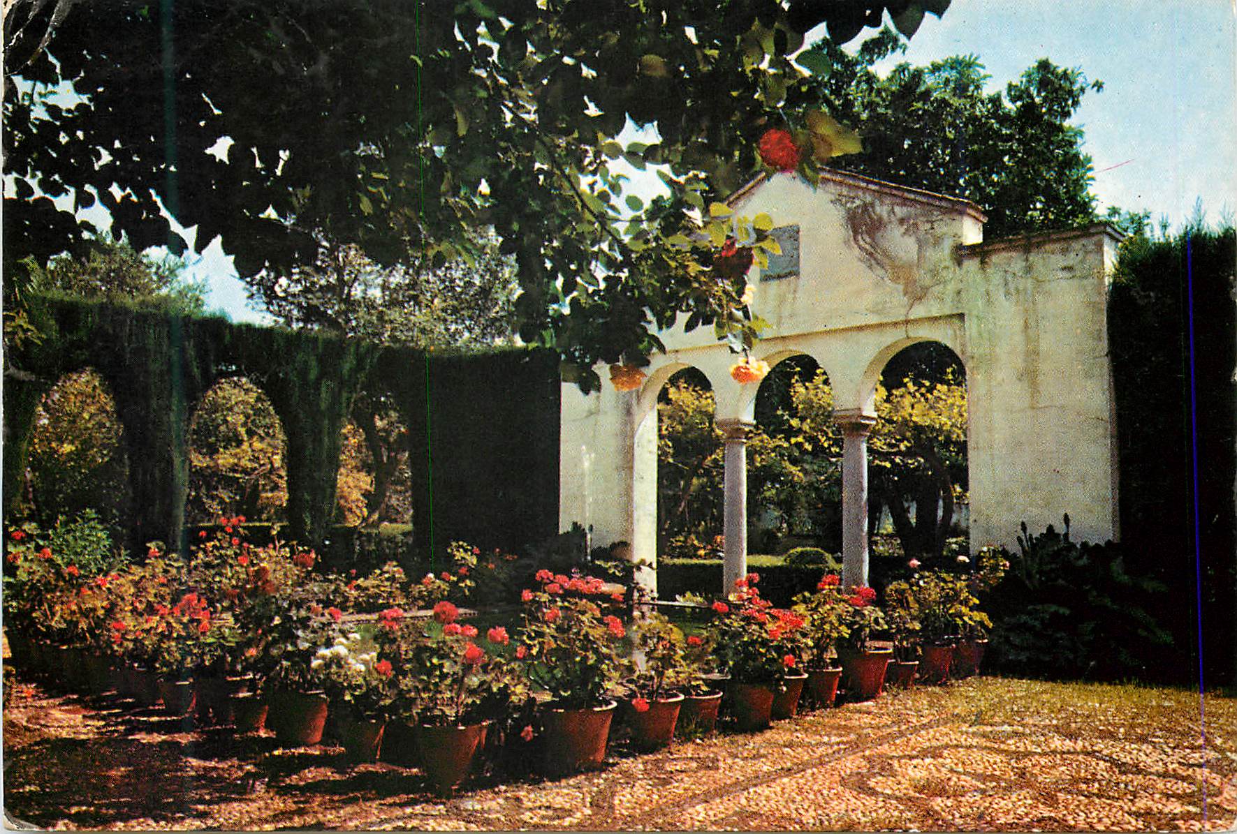 CPM Granada Vue partielle du Jardin du pianiste Francisco Garcia Carrillo 