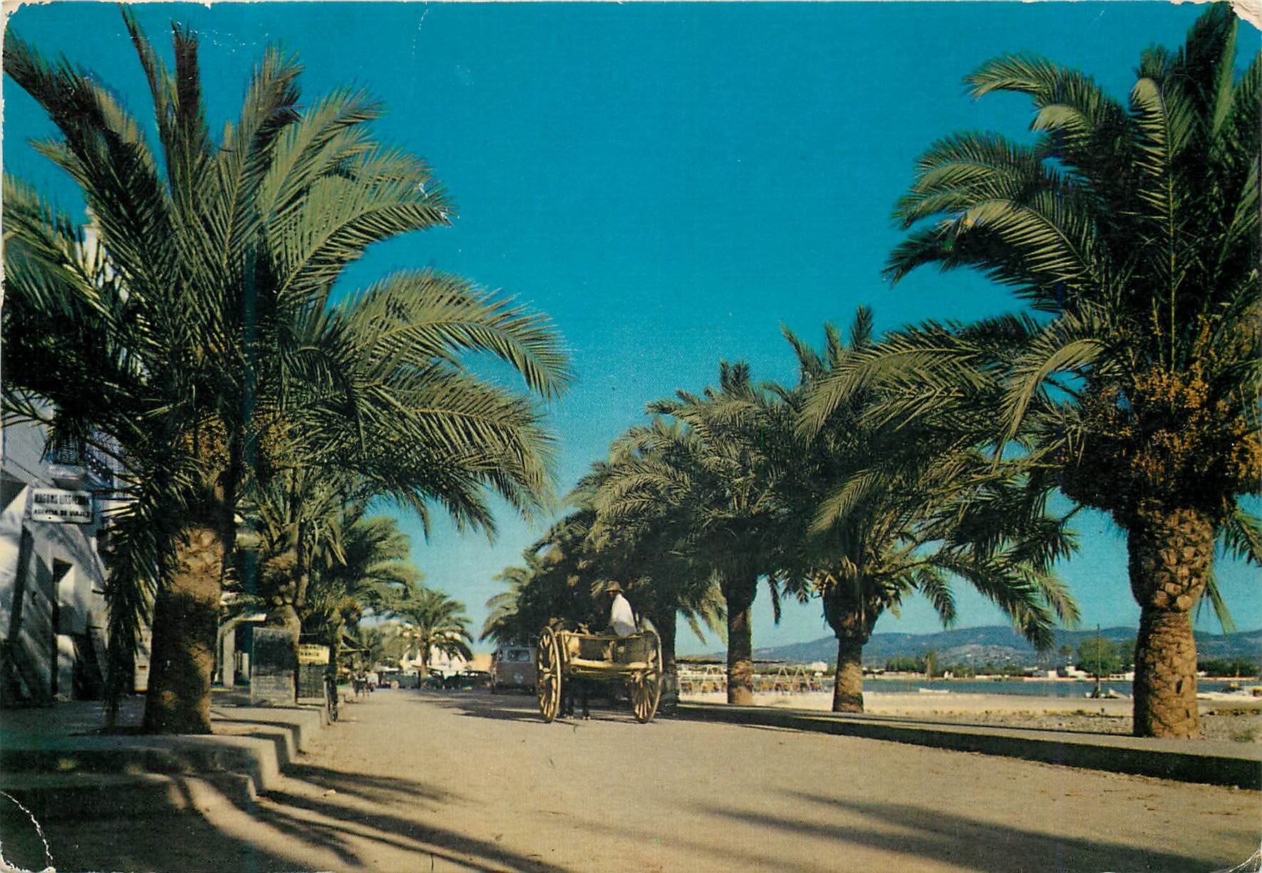 CPM Ibiza Baleares Espana San Antonio Pasco de las Palmeras 