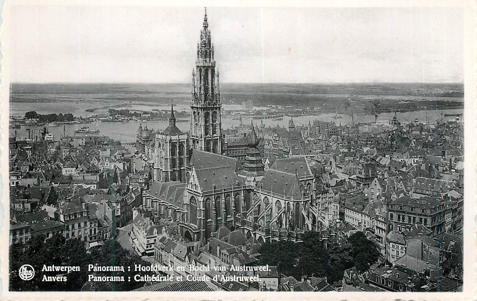 CPM Anvers Panorama Cathedrale et Coude d'Austruweel 