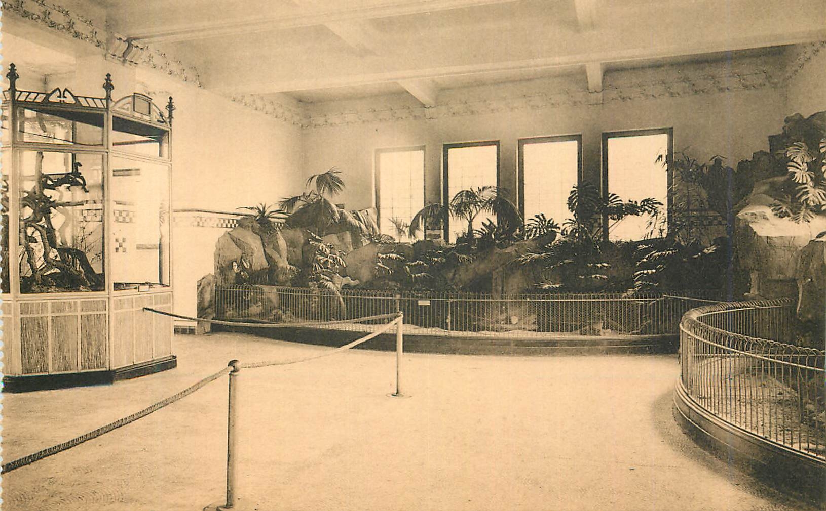 CPM Anvers Jardin Zoologique Galerie des reptiles Bassin des Tortues 