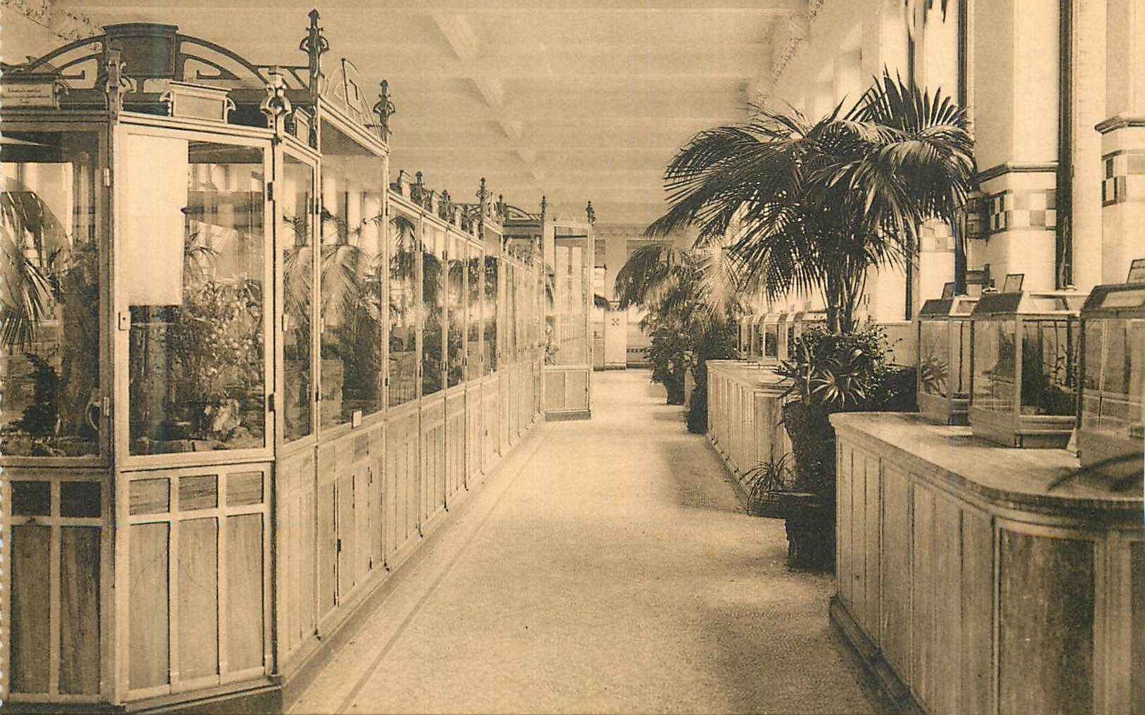 Galerie des Reptiles — Terraria — Ern. Thill, Bruxelles