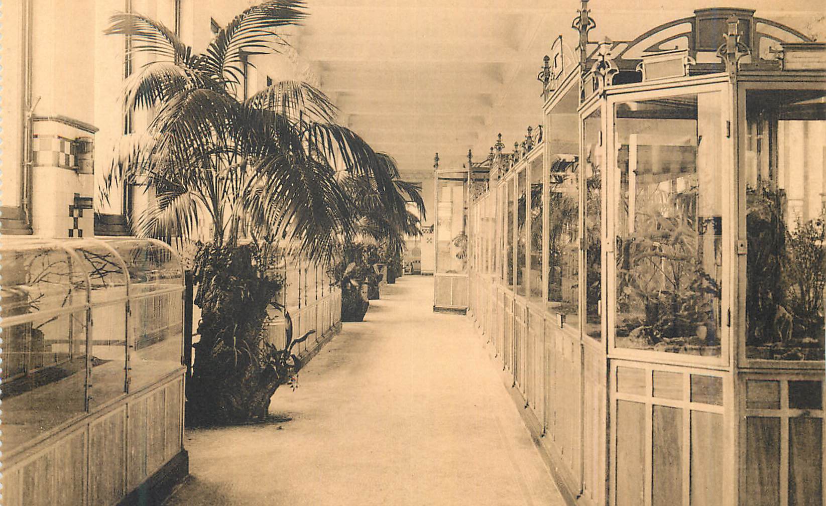 CPM Anvers Jardin Zoologique Galerie des reptiles Cages des Serpents venimeux 