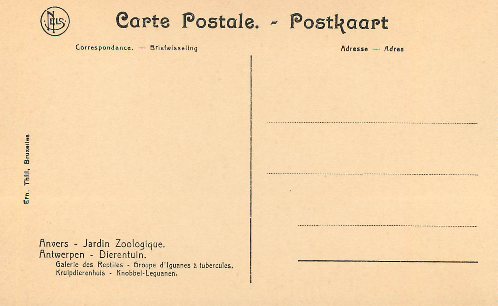 CPM Anvers Jardin Zoologique Galerie des reptiles Groupe de l Iguanes a tubercules  — Back