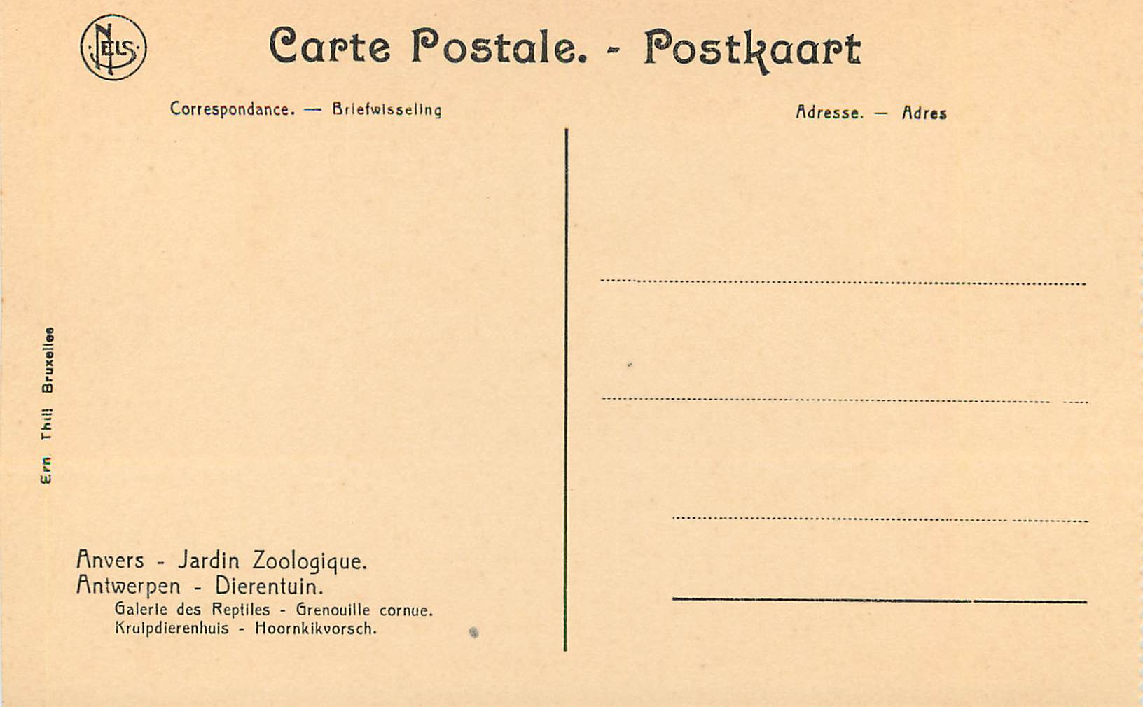 Grenouille cornue — Anvers, Jardin Zoologique — Ern Thill Bruxelles — Achterkant