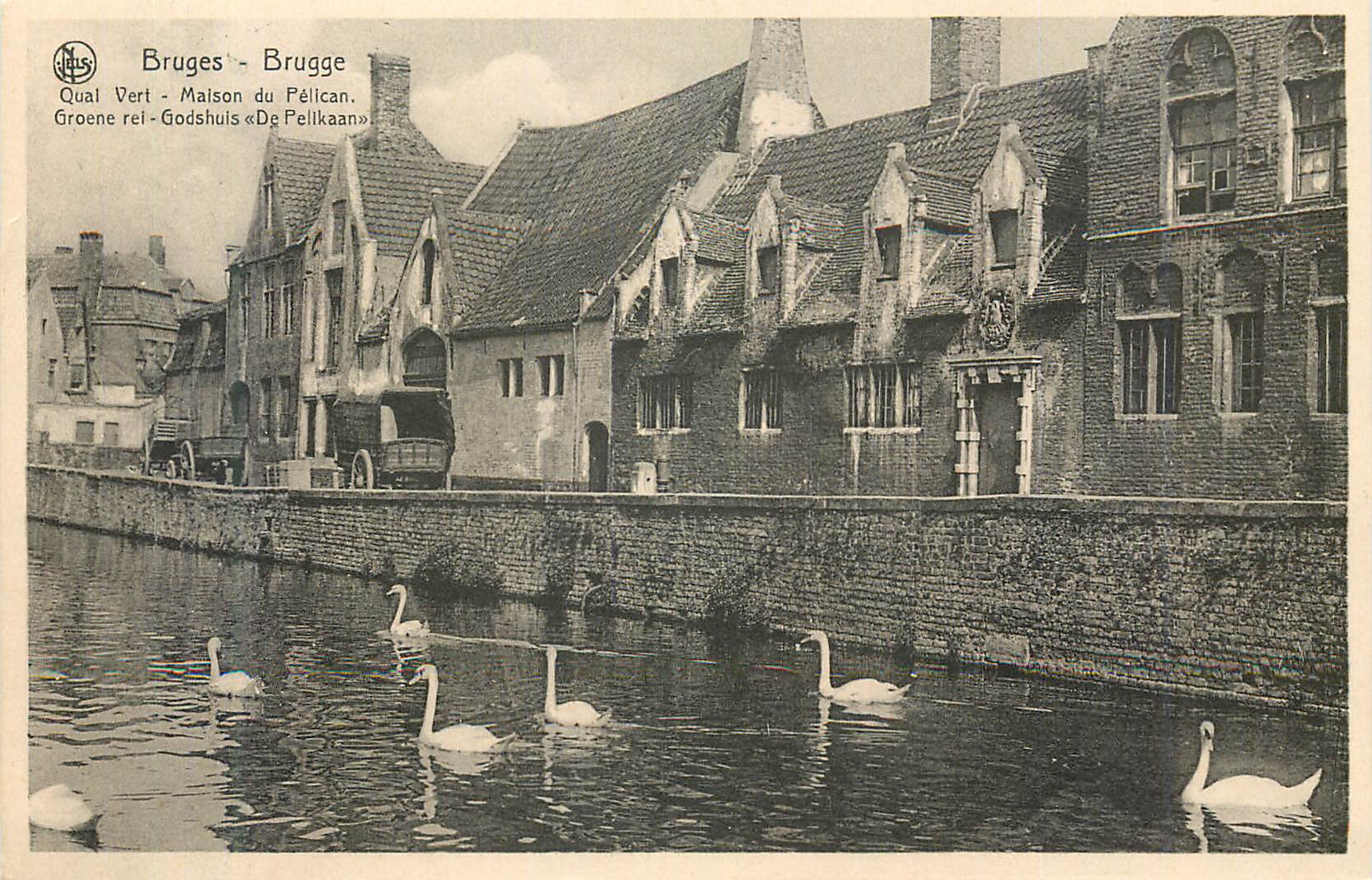 CPM Bruges Quai Vert Maison du Pelican 