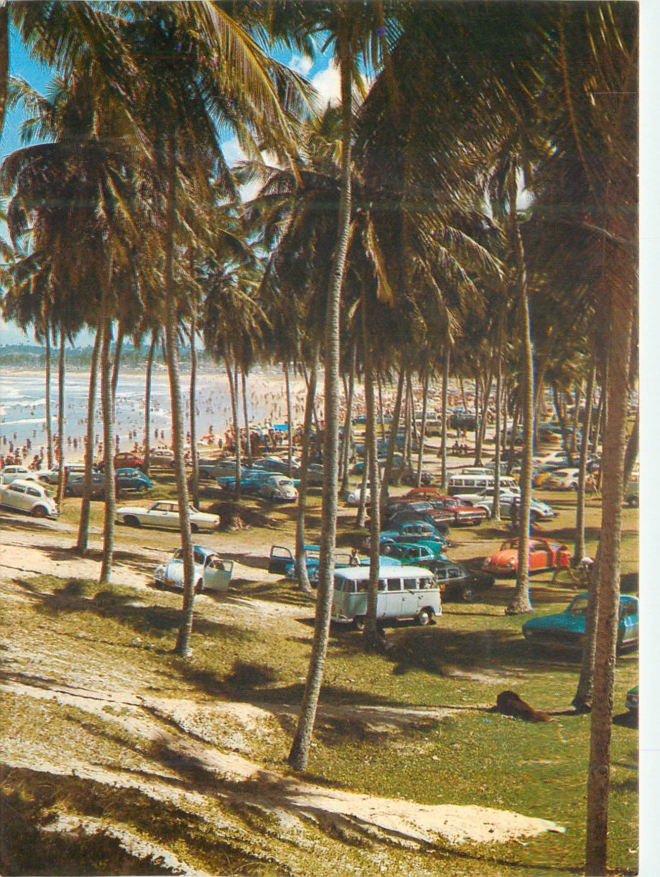 Praia de Piata avec ses beaux cocotiers — Salvador, Bahia, Brésil — éditeur Parana-Cart, n° 47