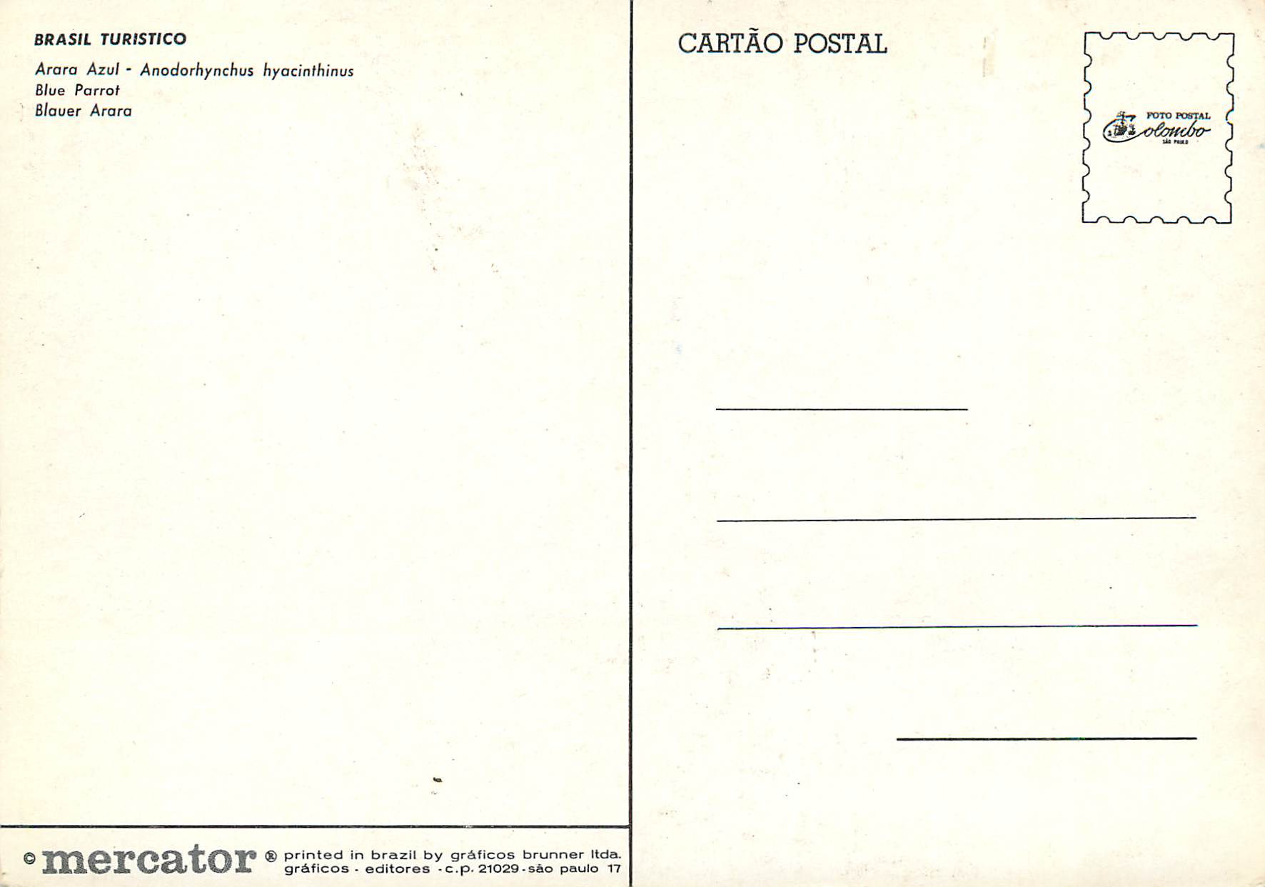 CPM Brasil Turistico Blue parrot Anodorhynchus hyacinthinus Perroquet — Back