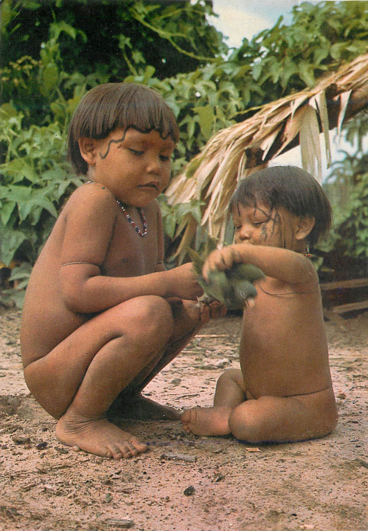 CPM Brasil Nativo Alto Rio Negro Amazonas 