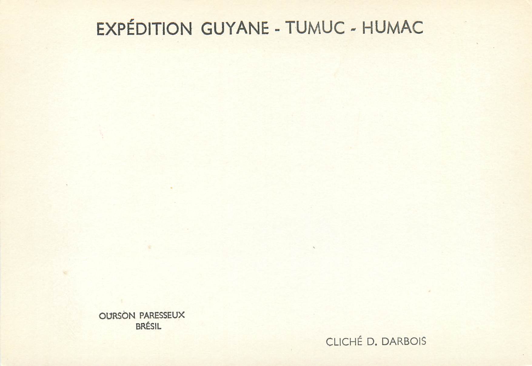 Deux paresseux sur un tronc d'arbre — Expédition Guyane - Tumuc - Humac — cliché D. Darbois — Reverso