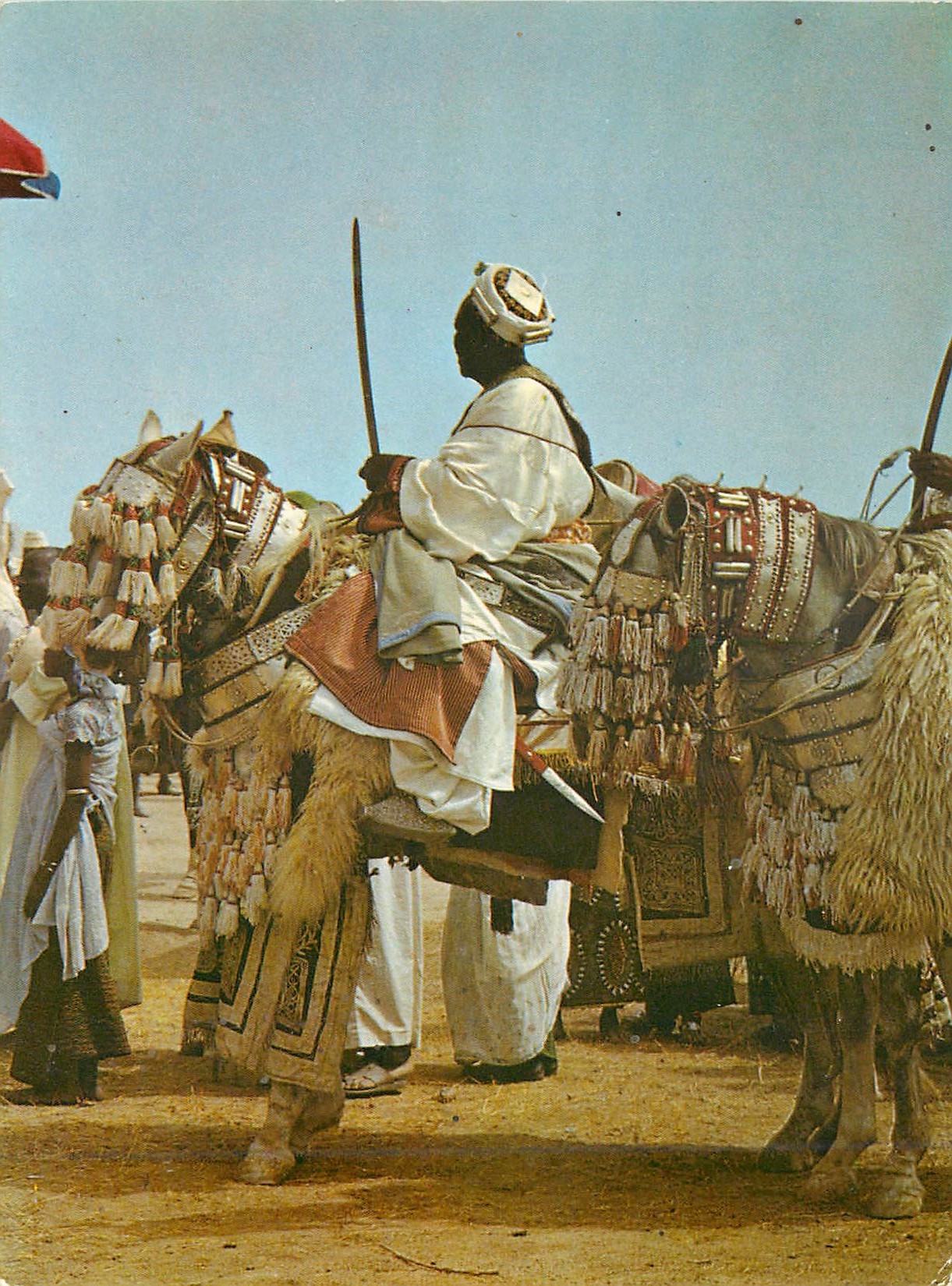 Lamido du Wandala — parade — Nord Cameroun Touristique