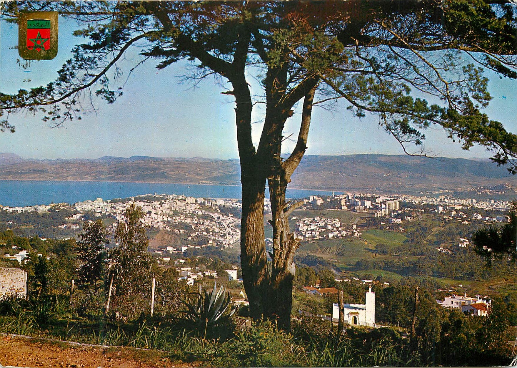 CPM Tanger Vue Generale 