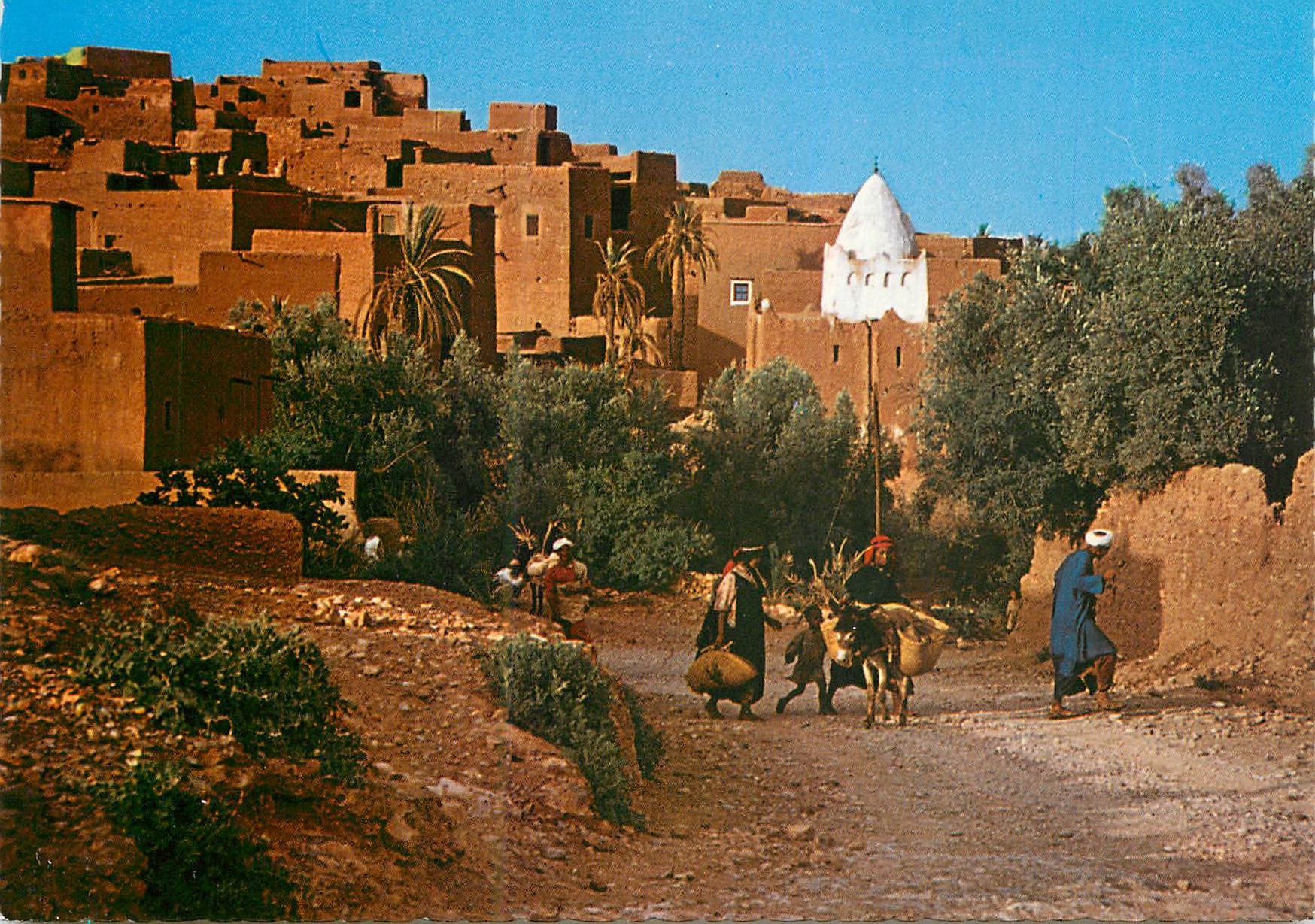 CPM Le Maroc Pittoresque Tinerhir Ane Donkey