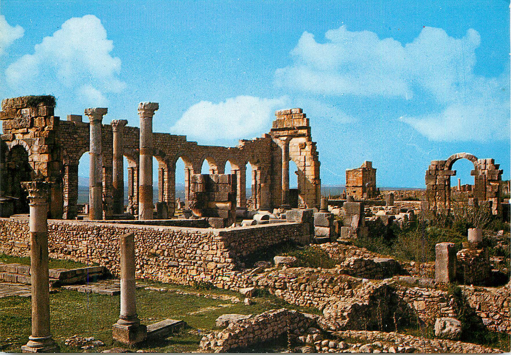 CPM Volubilis Vue de la face interne de la Basilique Civile 