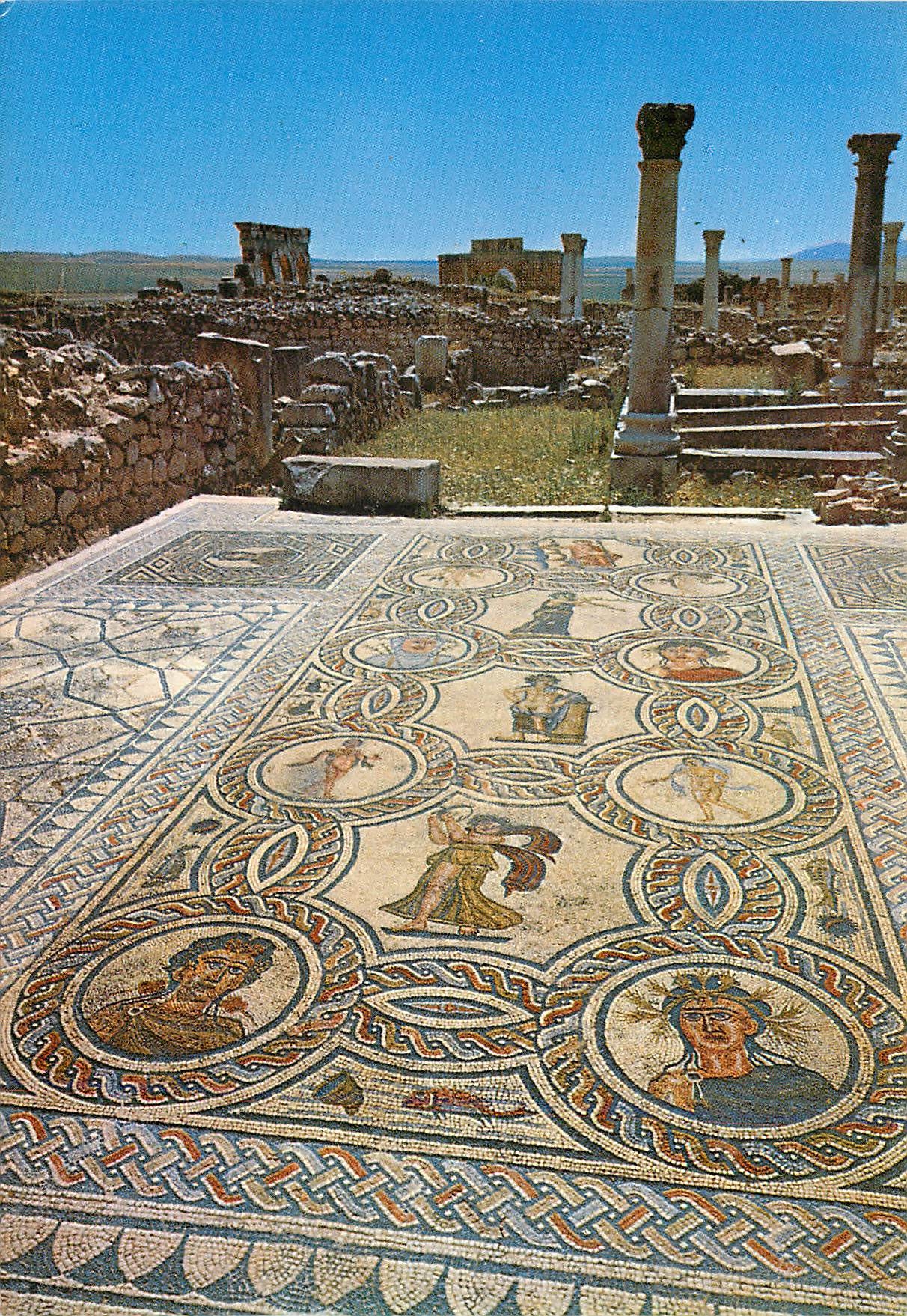 CPM Volubilis Mosaique de la Maison d'Orphee 