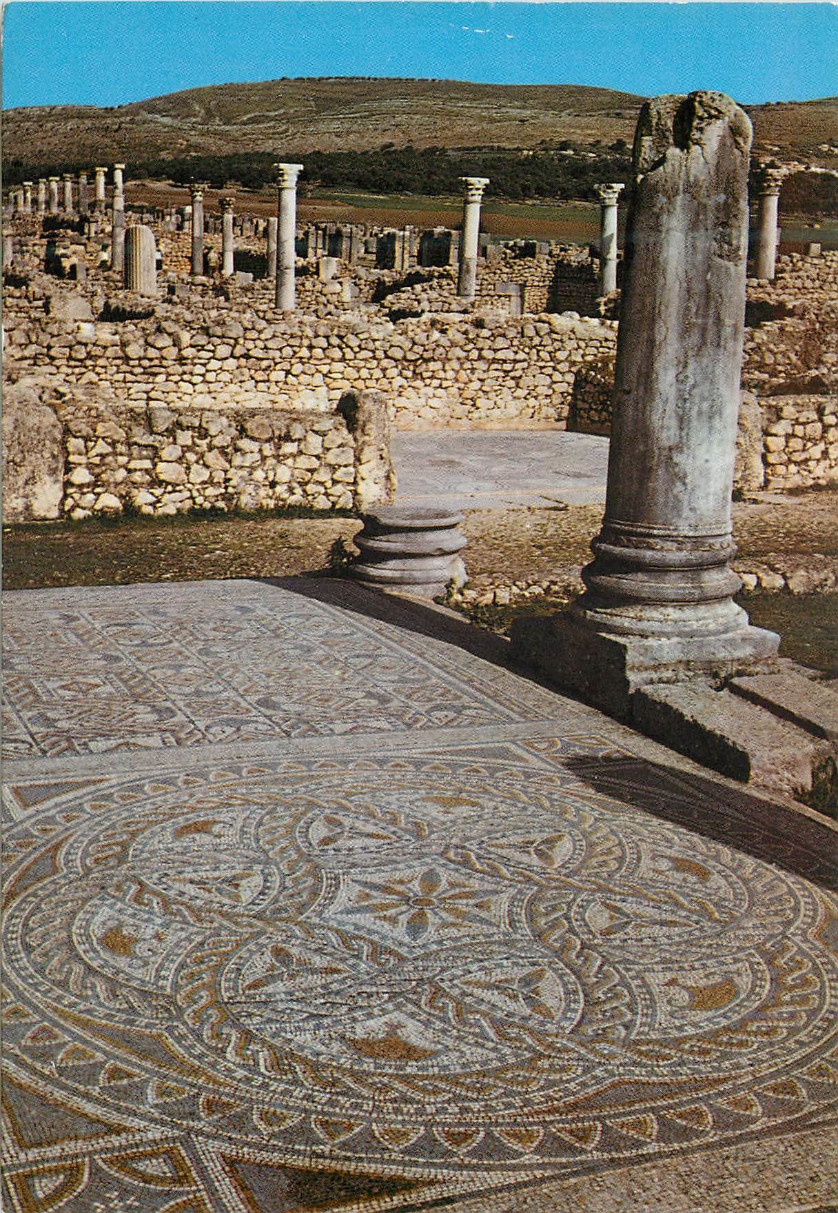 CPM Volubilis Maison aux Travaux d'Hercule 