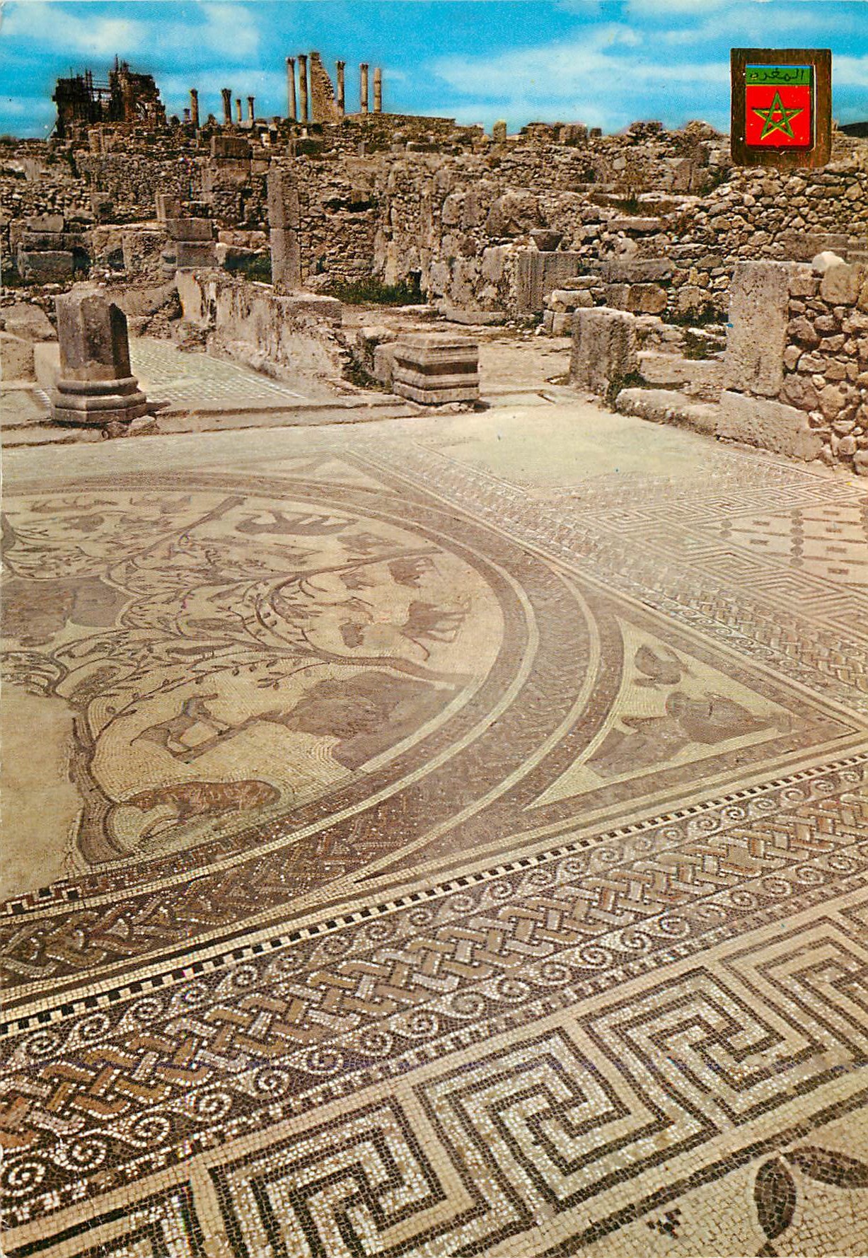 CPM Volubilis Mosaique de la Maison d'Orphee 