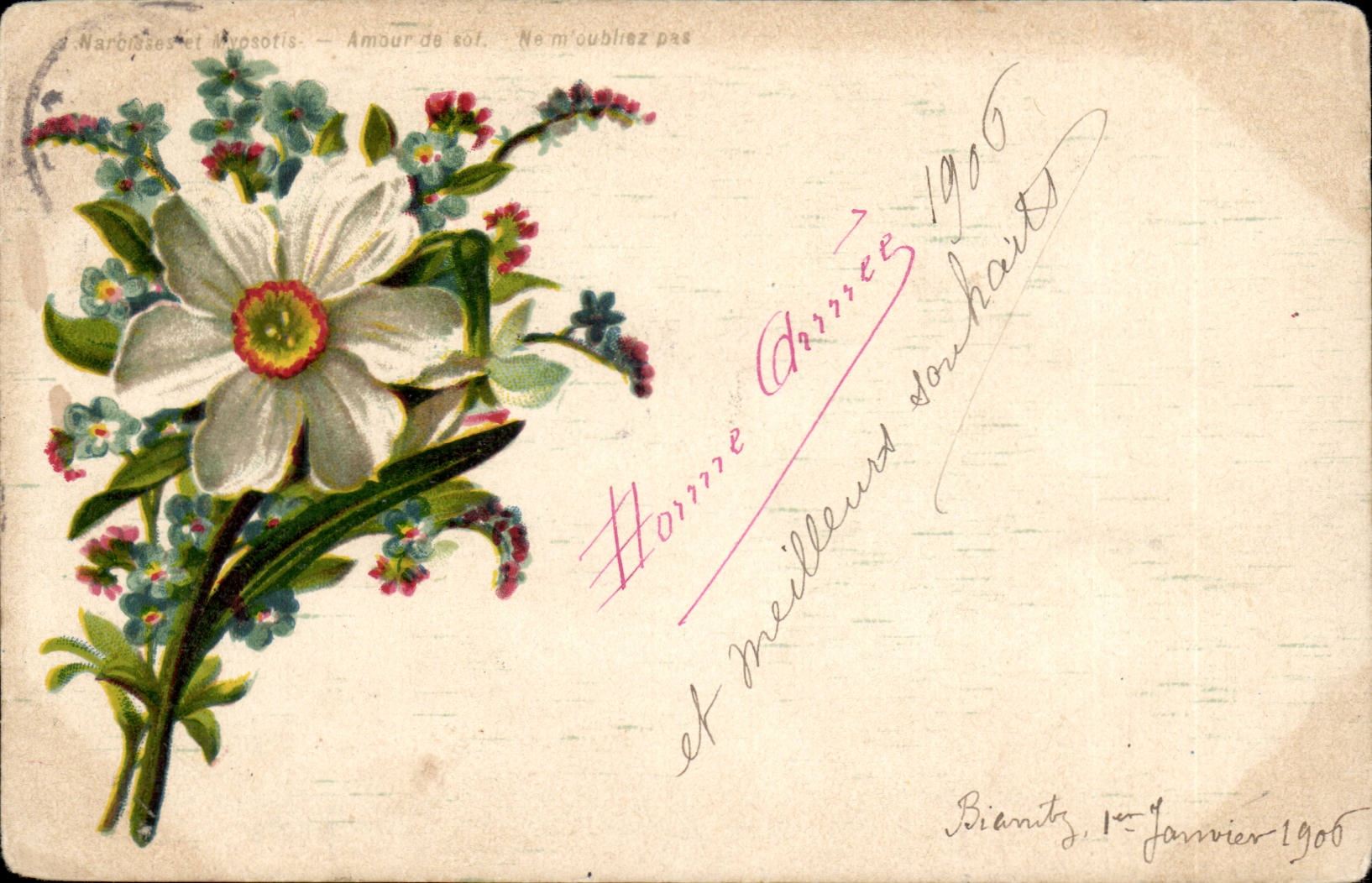 CPA Fantaisie Fleurs Bonne annee Narcissses et myosotis