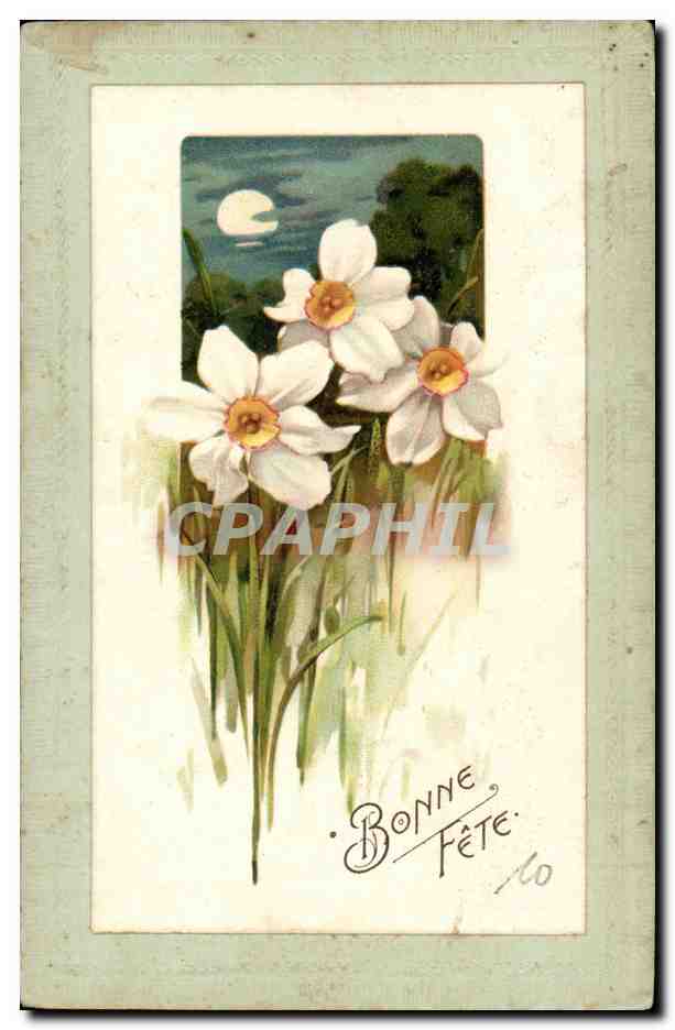 CPA Fantaisie Fleurs 