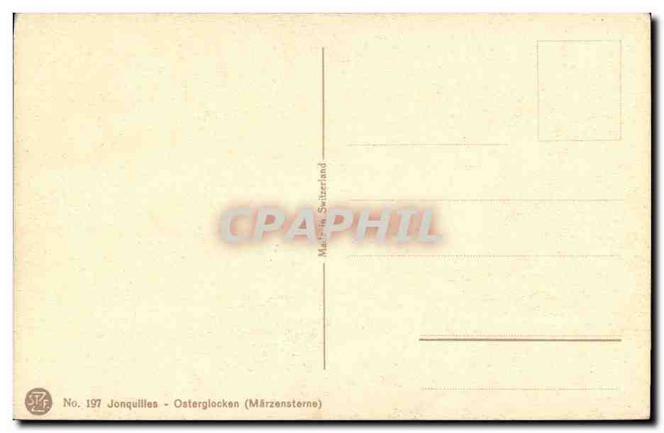 CPA Fantaisie Fleurs Jonquilles Osterglocken Marzensterne — Verso