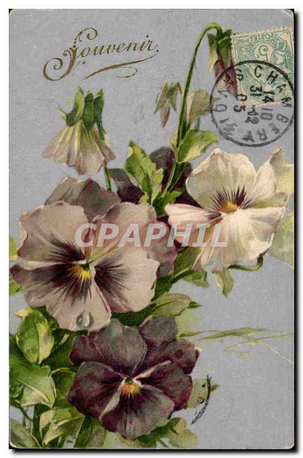 CPA Fantaisie Fleurs