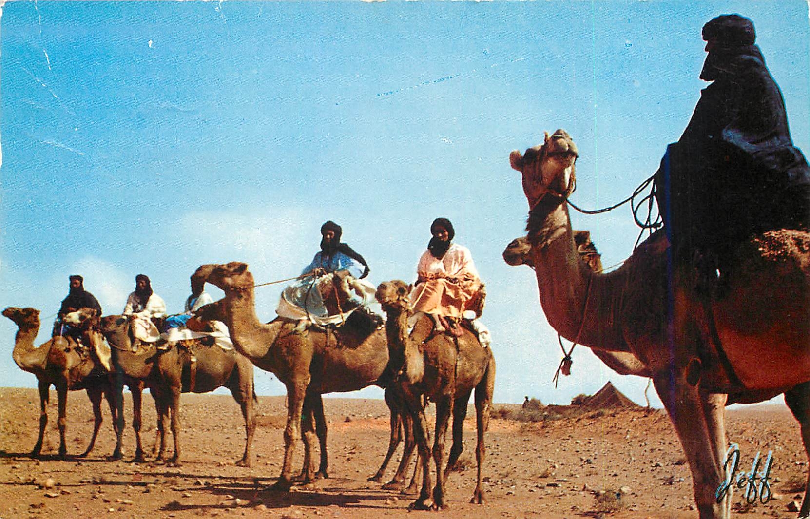 CPM Meharistes au desert Maroc Chameaux