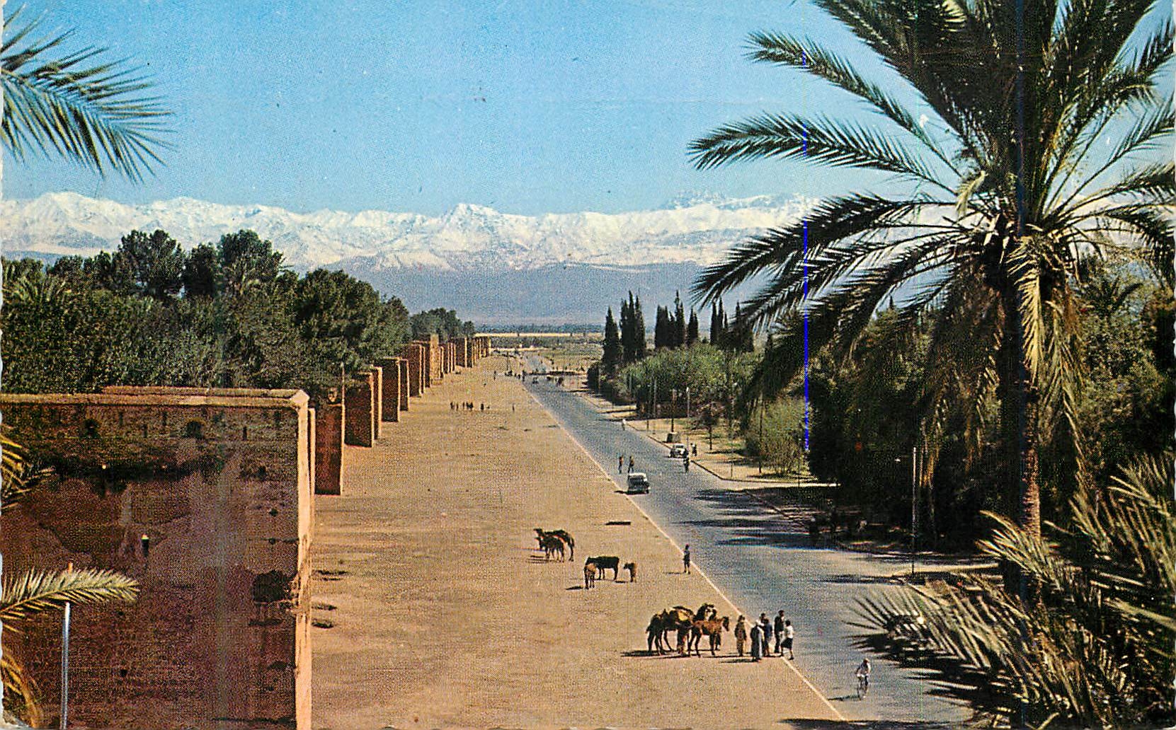 CPM Marrakech les remparts et le grand atlas
