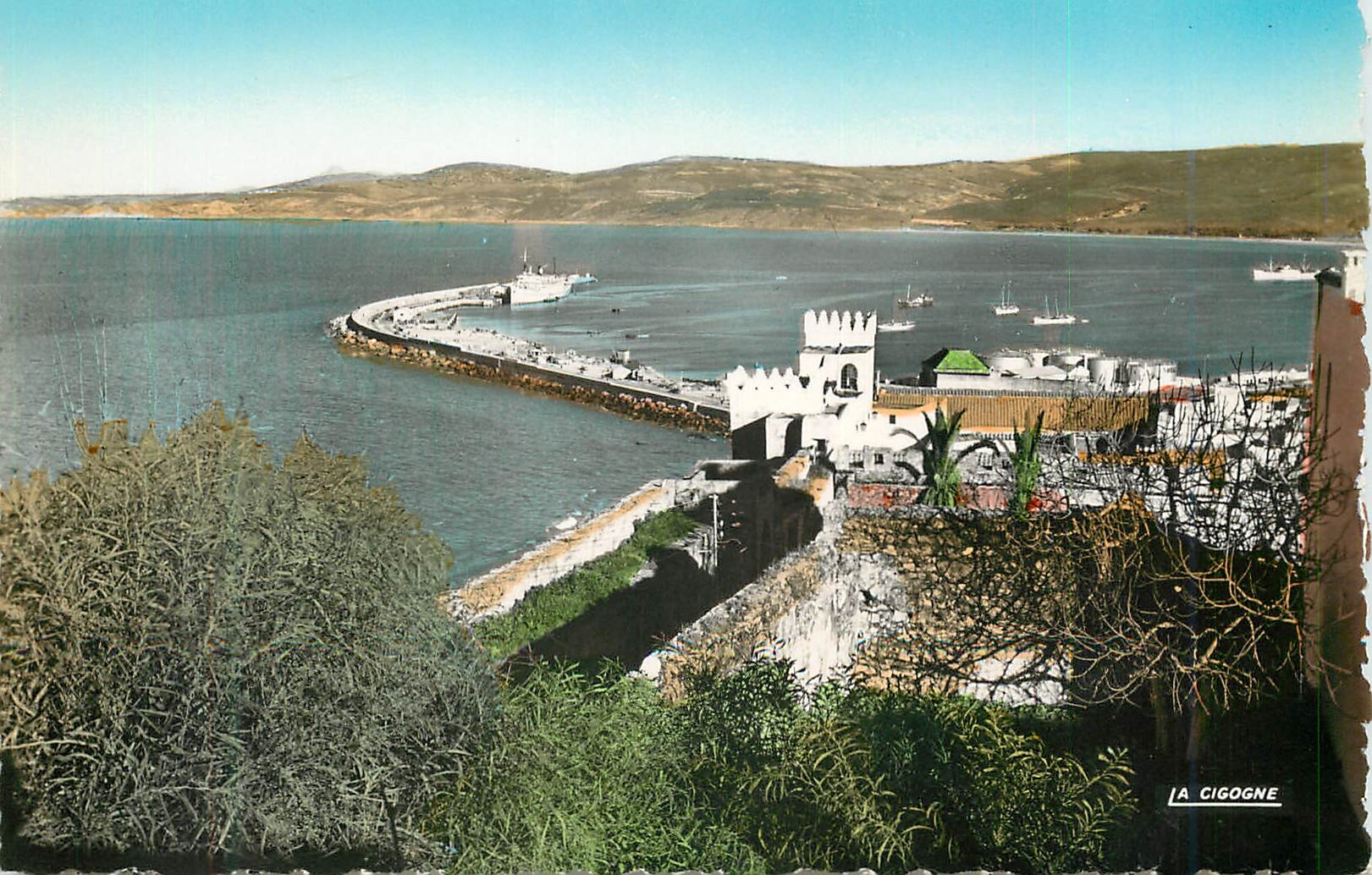 CPM Tanger vue sur le port
