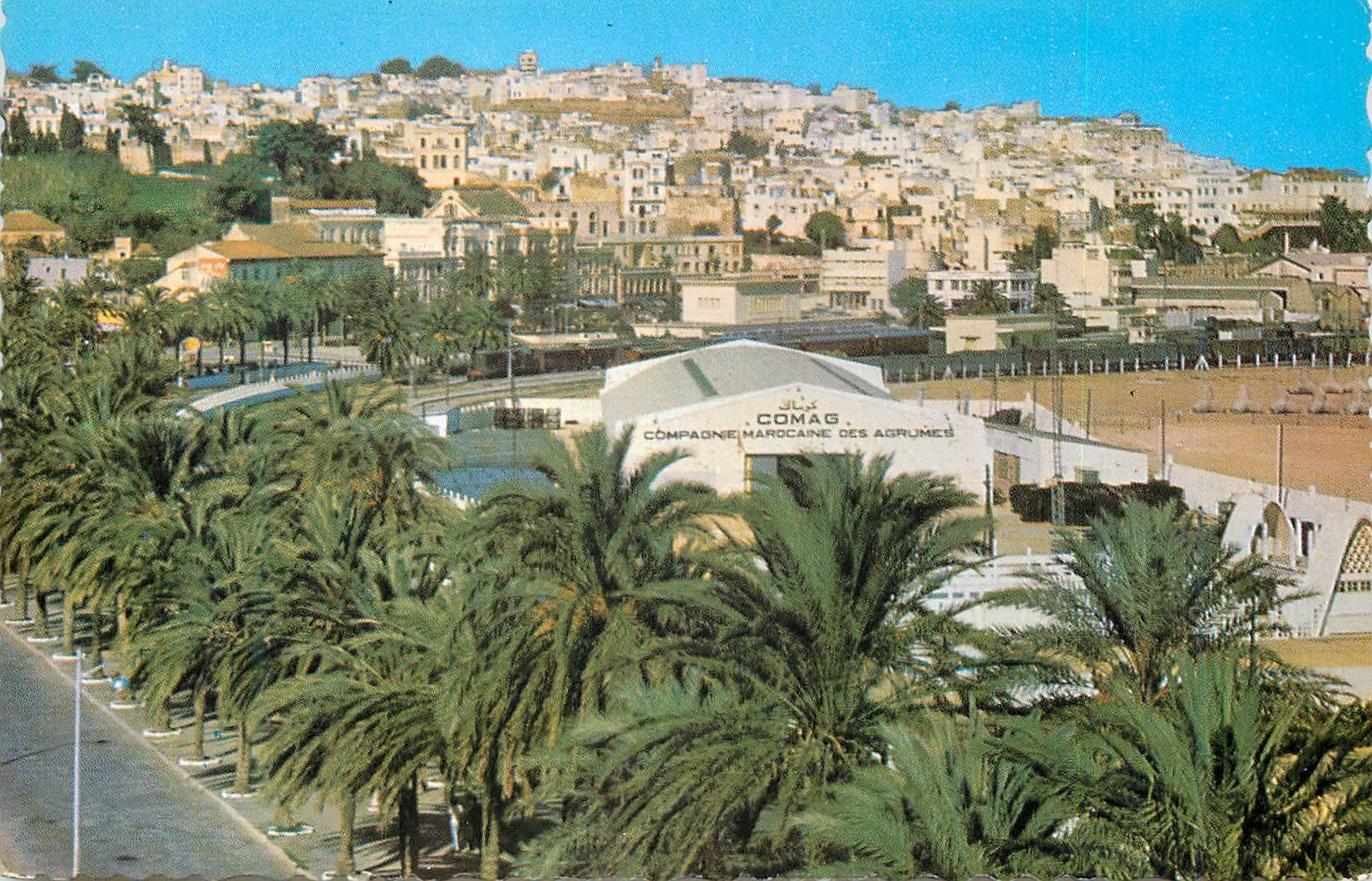 CPM Tanger avenue d'espagne