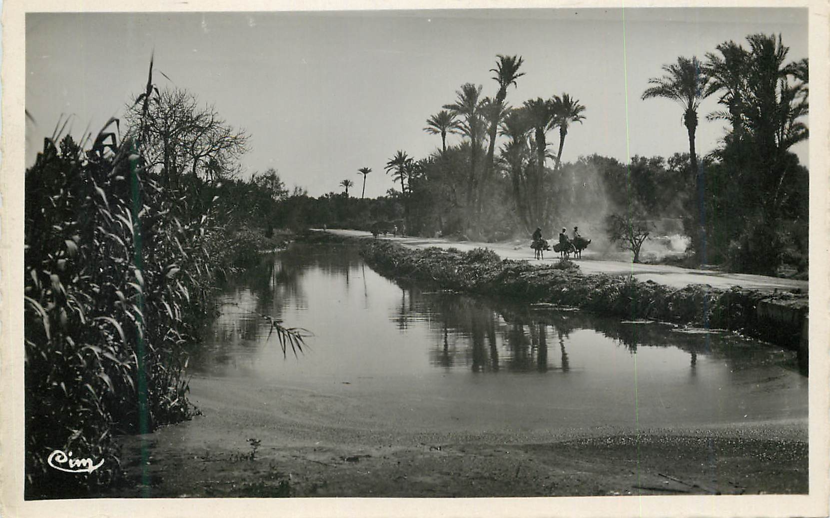 CPM Scenes et types de l'afrique du nord (maroc) promenad dans l'oasis - Recto
