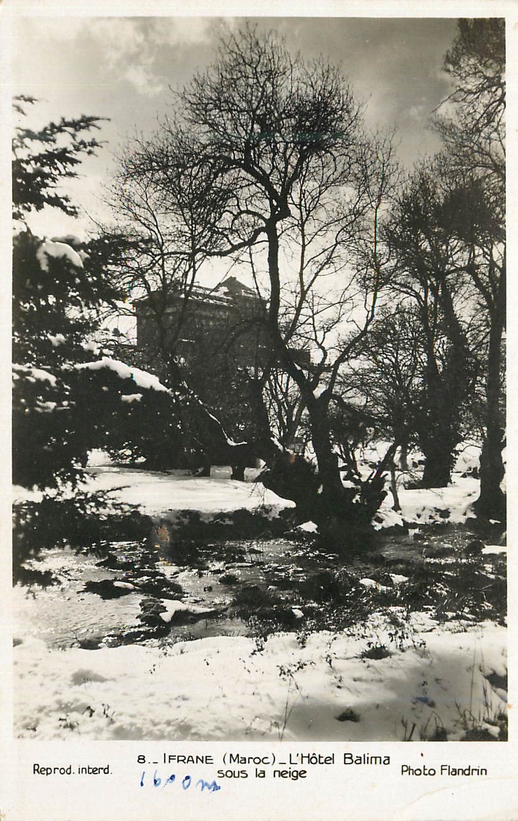 CPM Ifrane (maroc) l'hotel balima sous la neige