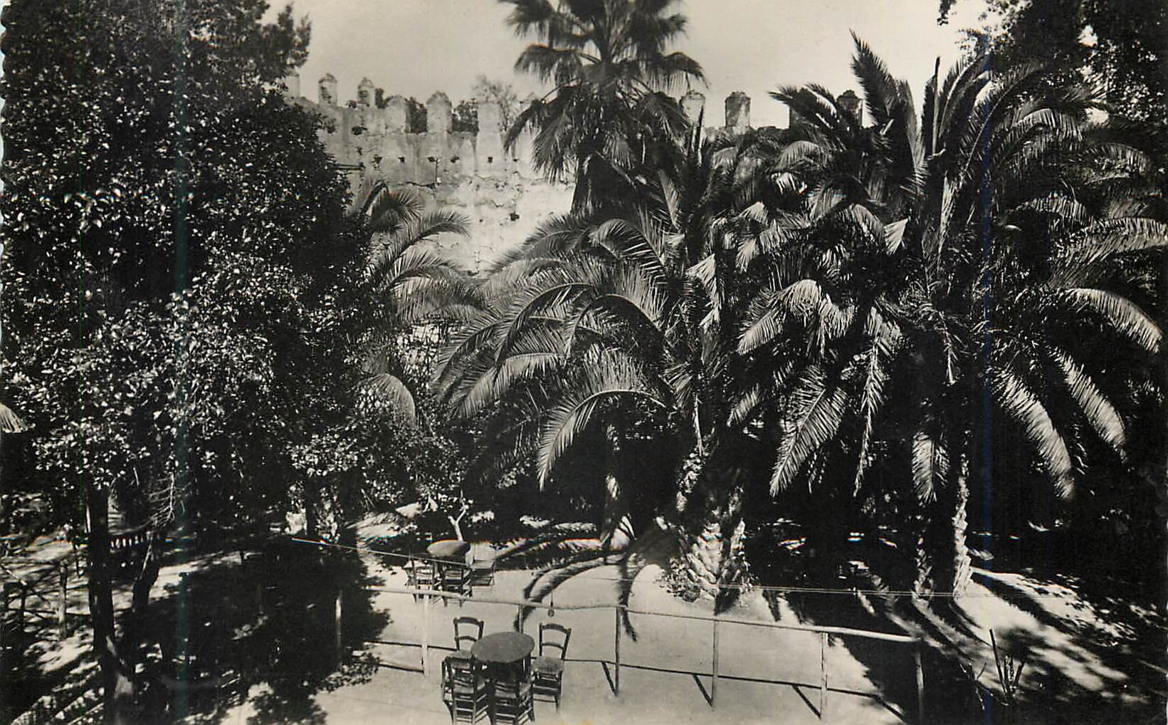 CPM Oujda jardin public cafe maure palmiers et remparts